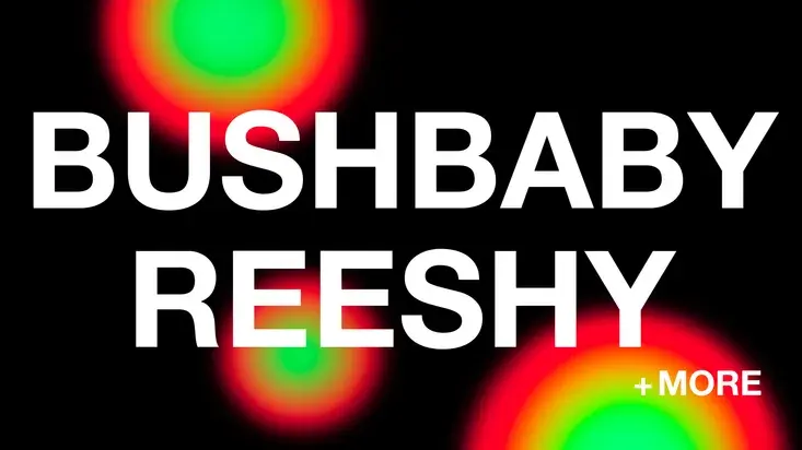 Left Handed presents Bushbaby + Reeshy