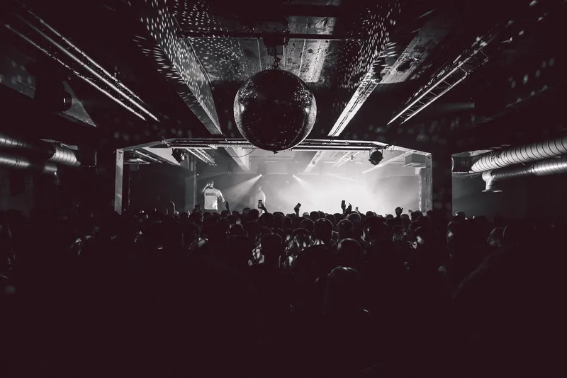 Vinyl Fantasy 3.0. The Third Dimension Birthday Party